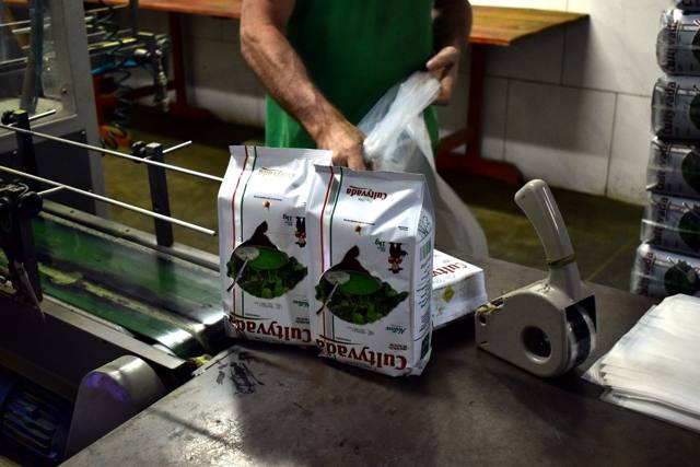 Pacotes de Cultyvada Nativa saindo da empacotadora